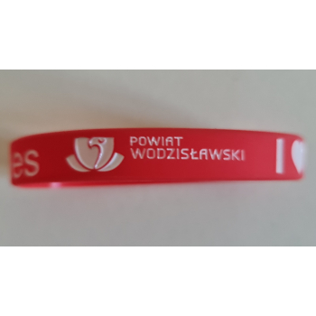 Opaska Powiat Wodzisławski